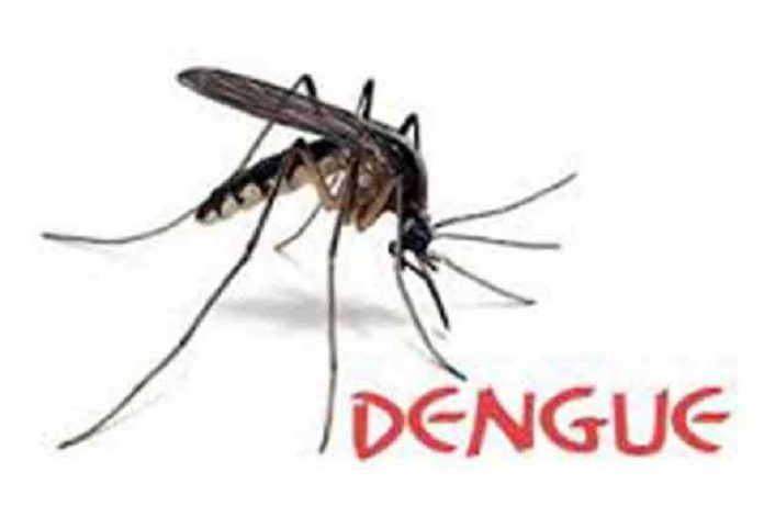 home remedy for dengue fever