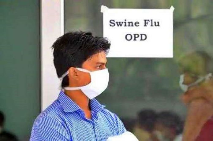 is swine flu dangerous